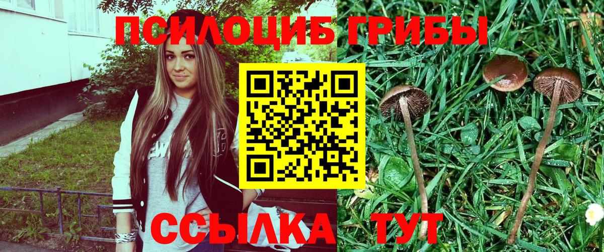 Галлюциногенные грибы Cubensis  Псилоцибиновые грибы Magic Shrooms  Вход с VPN  Камень-на-Оби 